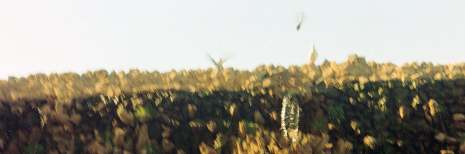 naitoms's profile banner image
