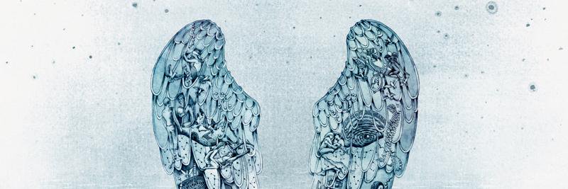 raphaelreis_'s profile banner image