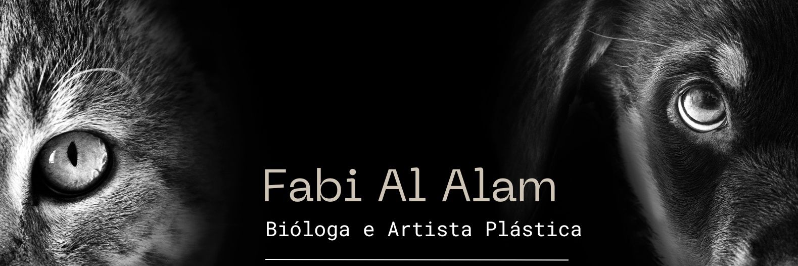 artestore's profile banner image