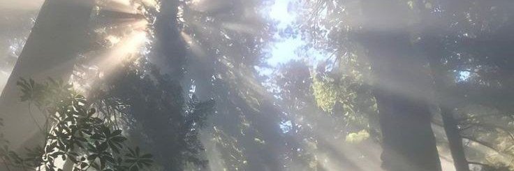 onlyyrredd's profile banner image