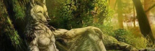 carlota banner