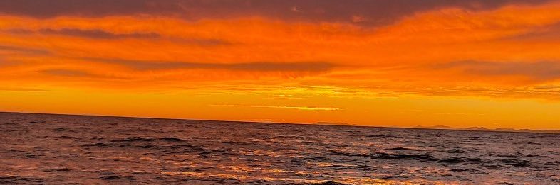 anicole3_rose's profile banner image