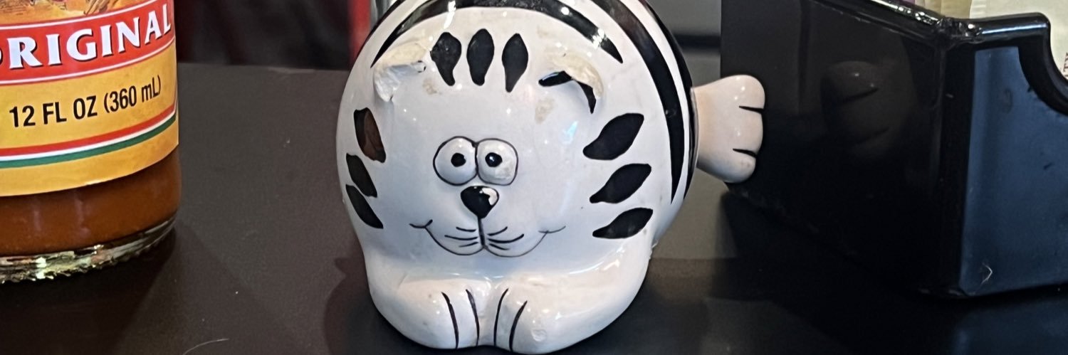 s_feinsilver's profile banner image