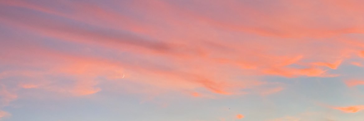 lexibusse's profile banner image