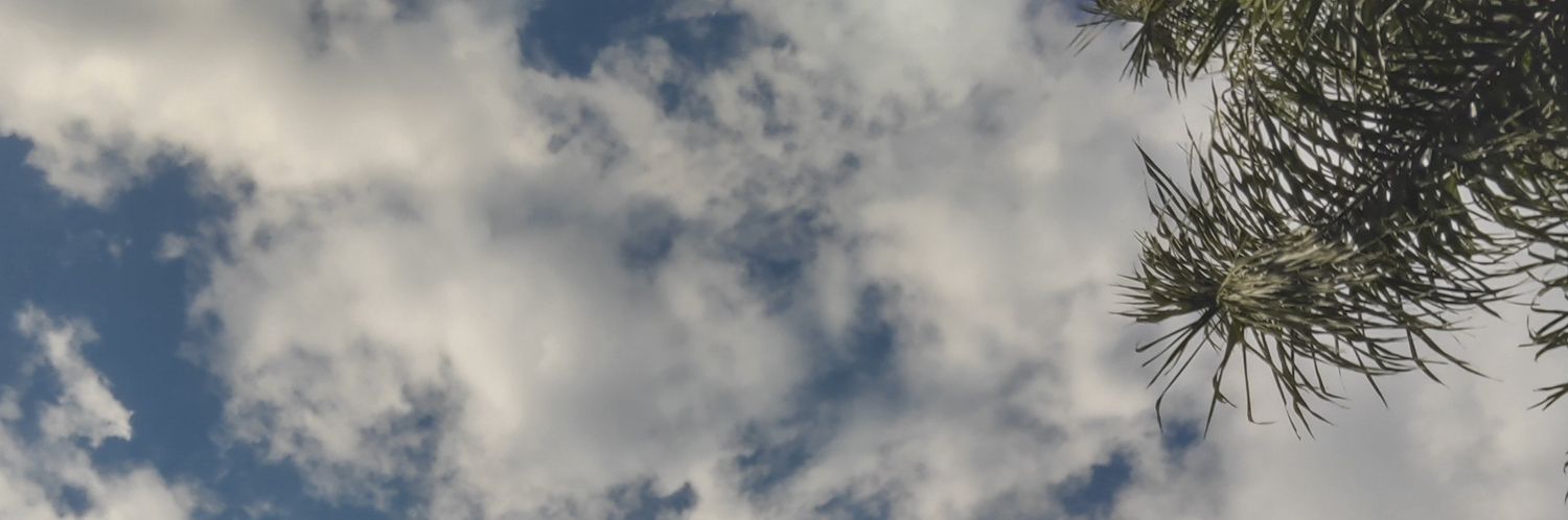 lau_383's profile banner image