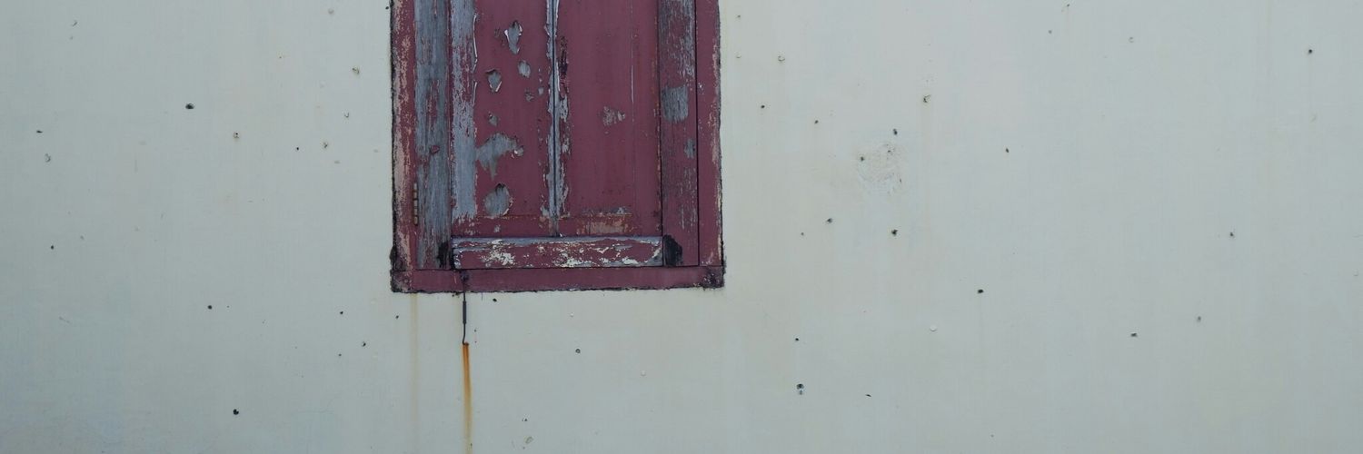 roidatulula's profile banner image