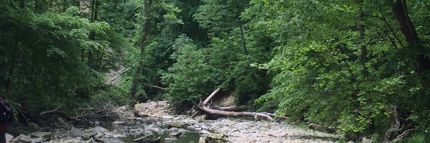 Michelle Carr ·o. △̶ she/her banner