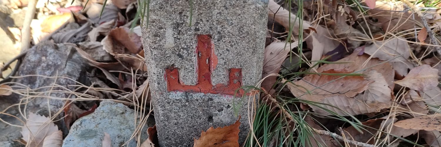 RIS9@猫の下僕(ΦωΦ)v banner