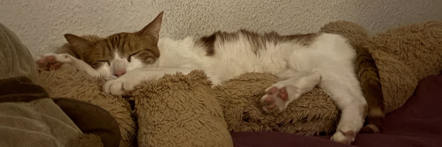paucuepad's profile banner image