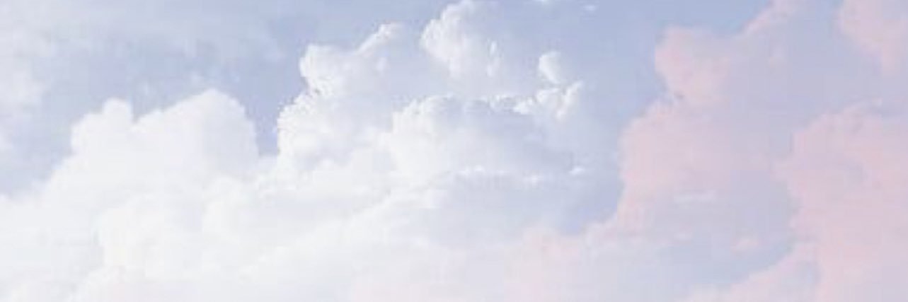 MeredithVoss24's profile banner image