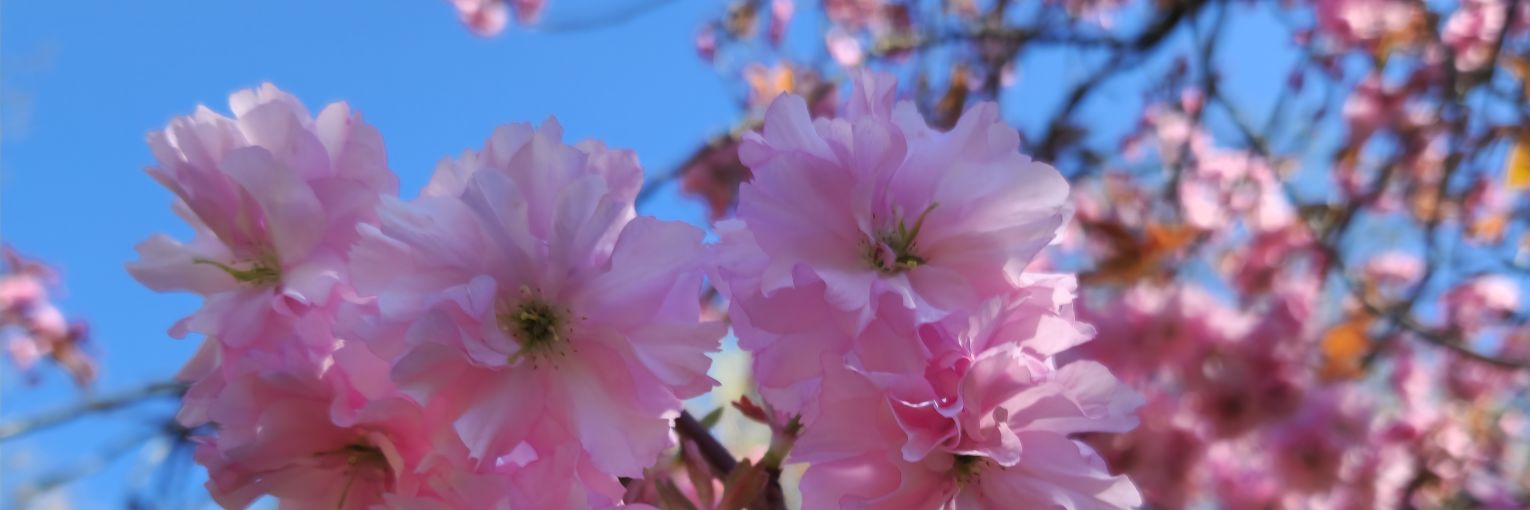 miss_b_hist's profile banner image