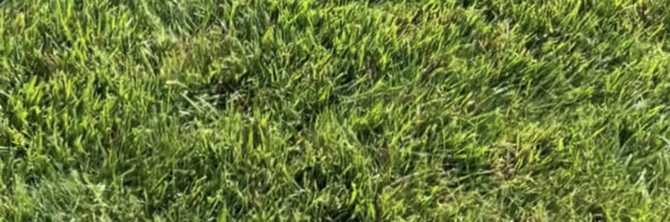 noedjcoaching's profile banner image
