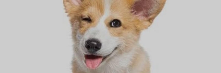 BenHuelsman's profile banner image