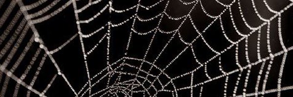 ash_arachnid Profile Banner