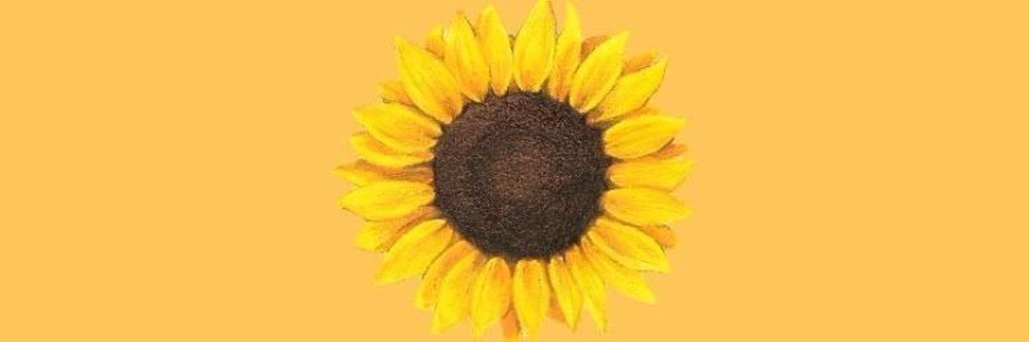MNBujanda's profile banner image
