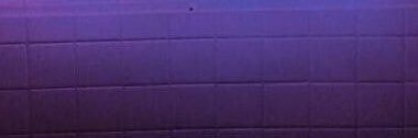 Taylr0r's profile banner image