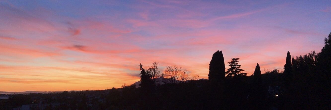 SolchuMourelle's profile banner image
