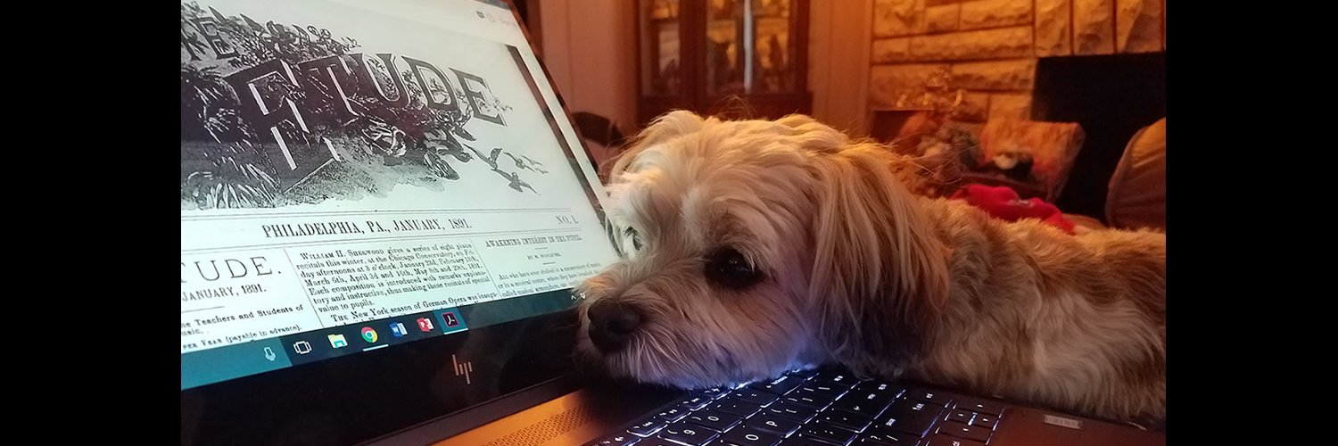 elissadear's profile banner image