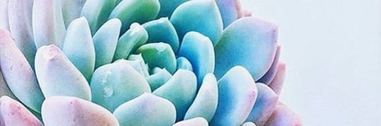 itsemma_k's profile banner image