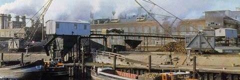 Wim Van den Dool. realist des Vaderlands(JA21) banner