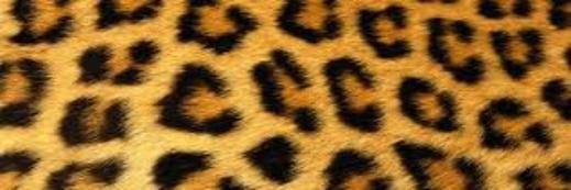 ElizabethErika's profile banner image