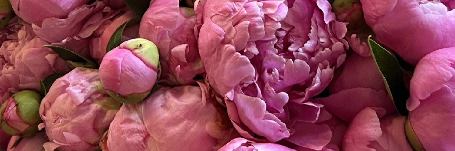 hazelmaganal's profile banner image