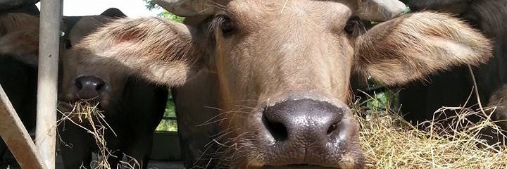 kjintja's profile banner image