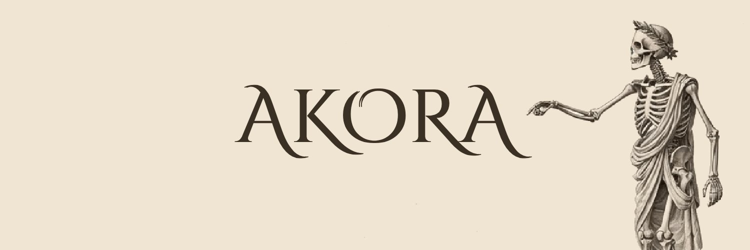 AKORAVOX's profile banner image