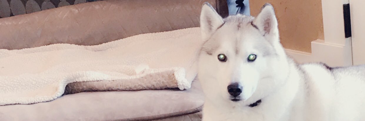 Kenna20_'s profile banner image