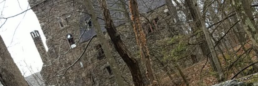 Useba4P's profile banner image