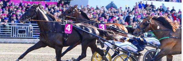 stalltz Profile Banner