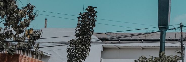 zonajulid's profile banner image