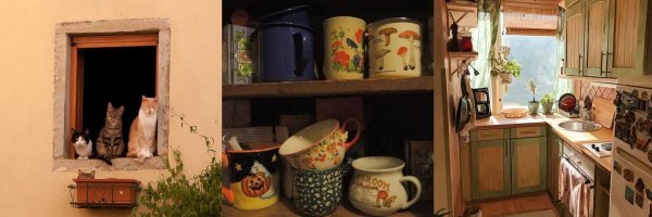 tenderedsun Profile Banner