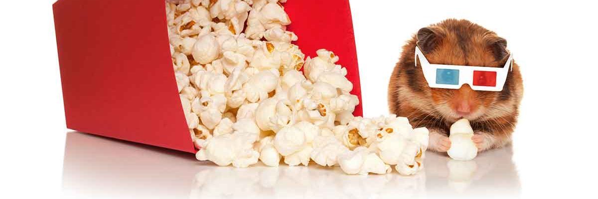 Genea1234's profile banner image