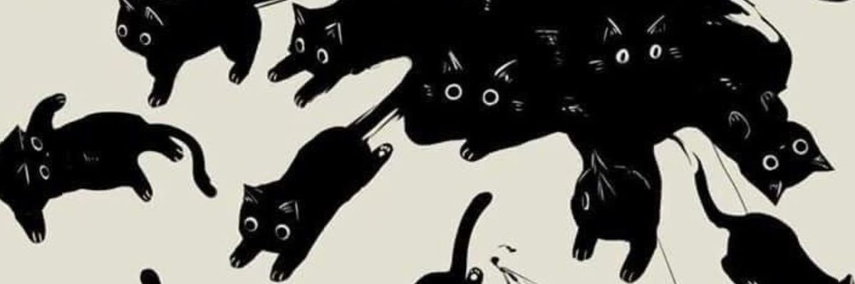 mfalast's profile banner image