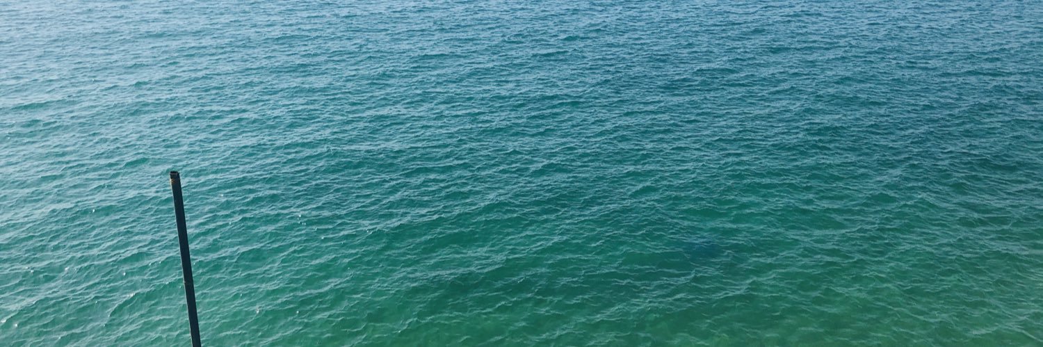 morchanpp's profile banner image
