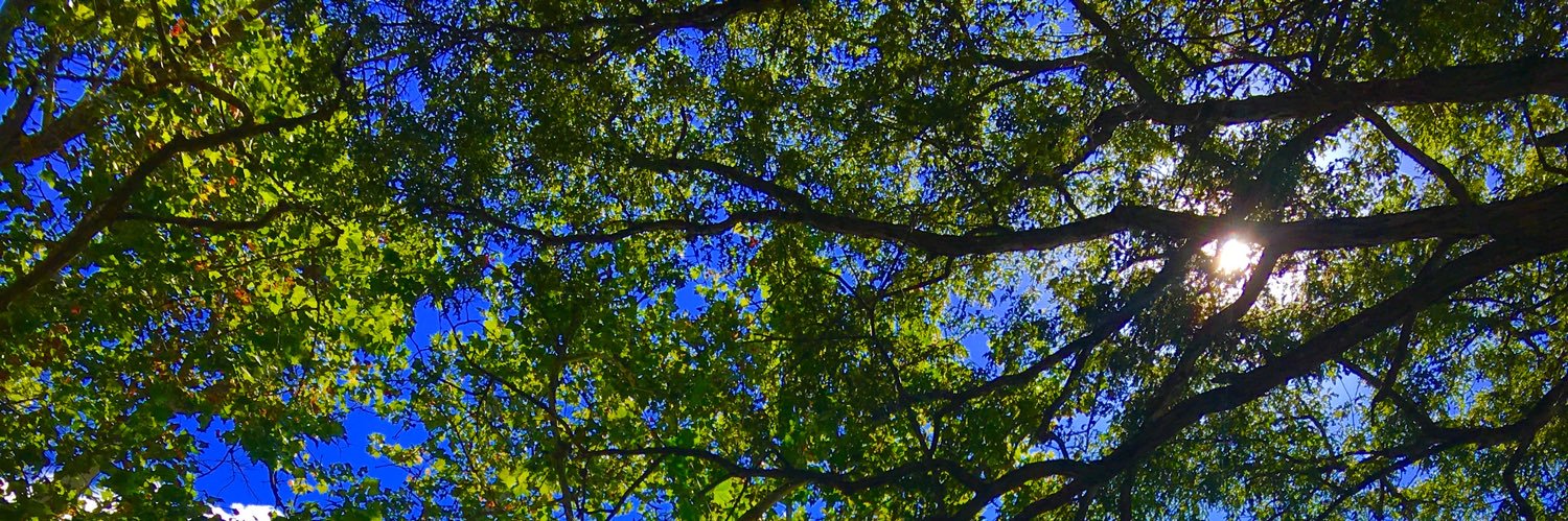 _rachael_8's profile banner image