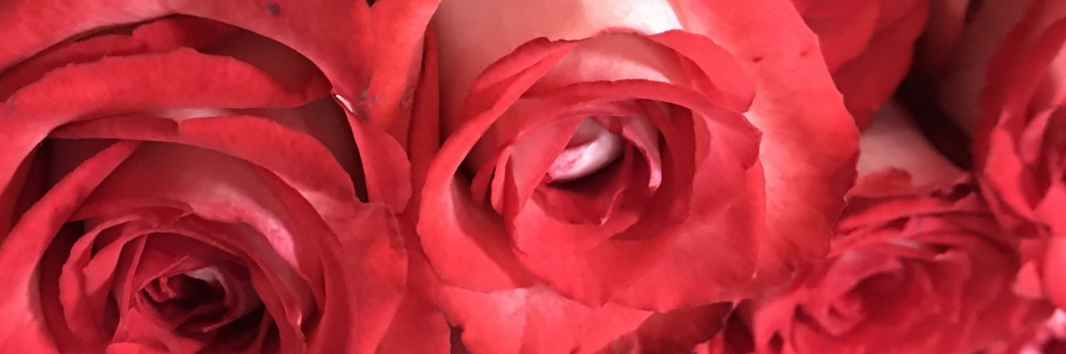 Cecekenn's profile banner image