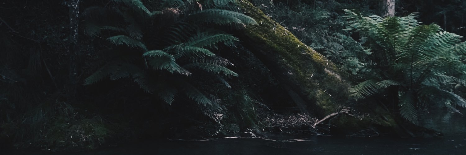 Jakejustquietly's profile banner image