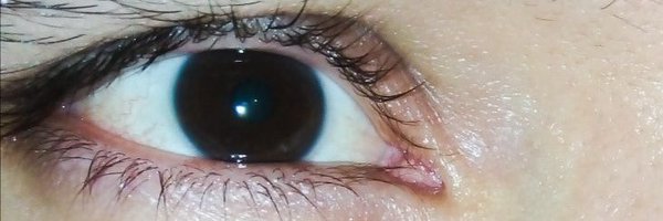 RAVGVEIS Profile Banner