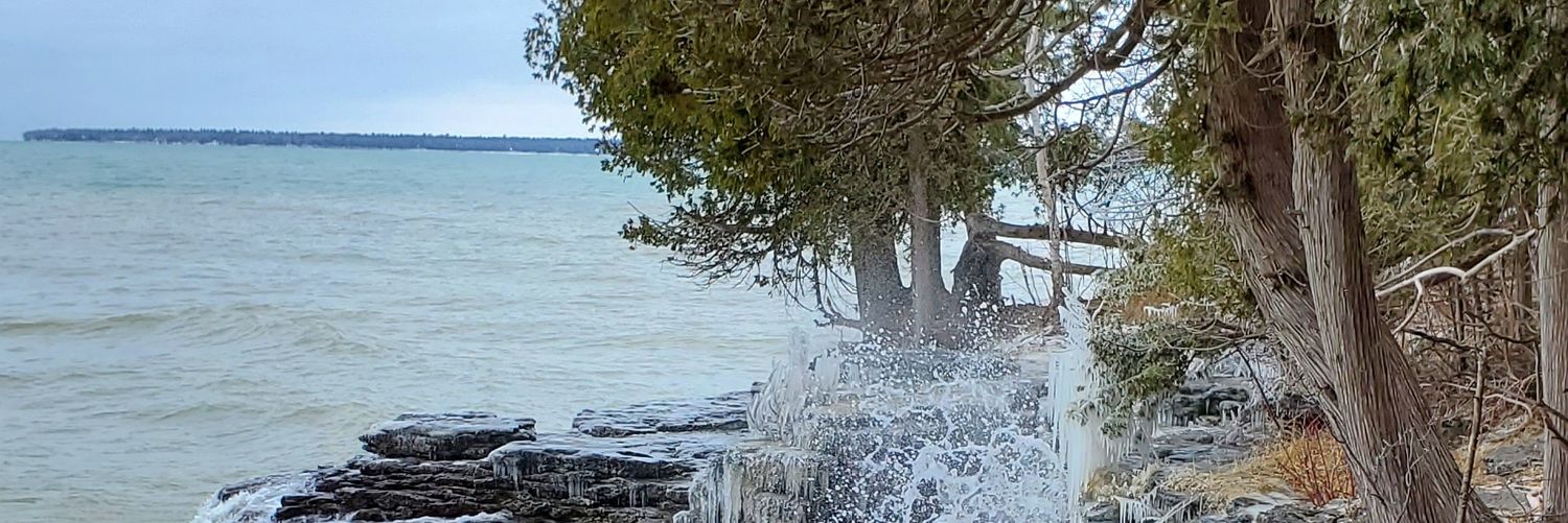OTooleHeidi's profile banner image
