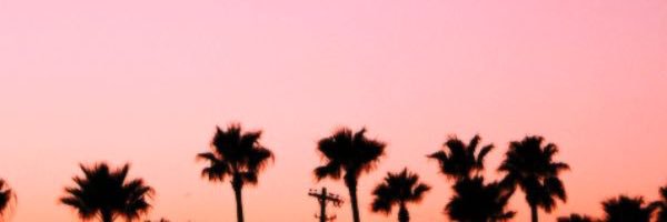 mariaawho's profile banner image