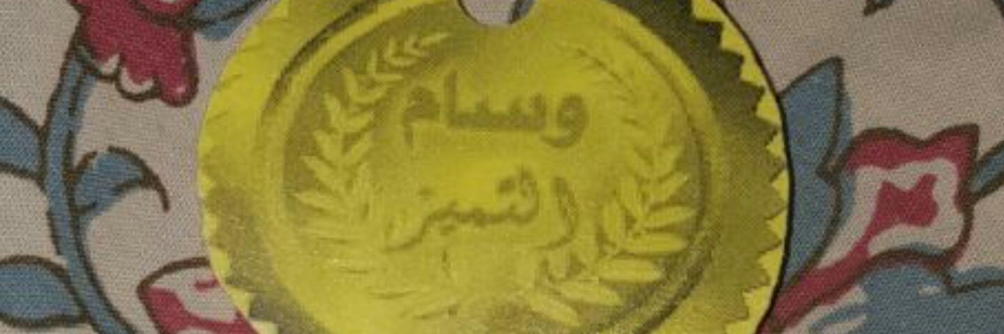 shayliweh's profile banner image