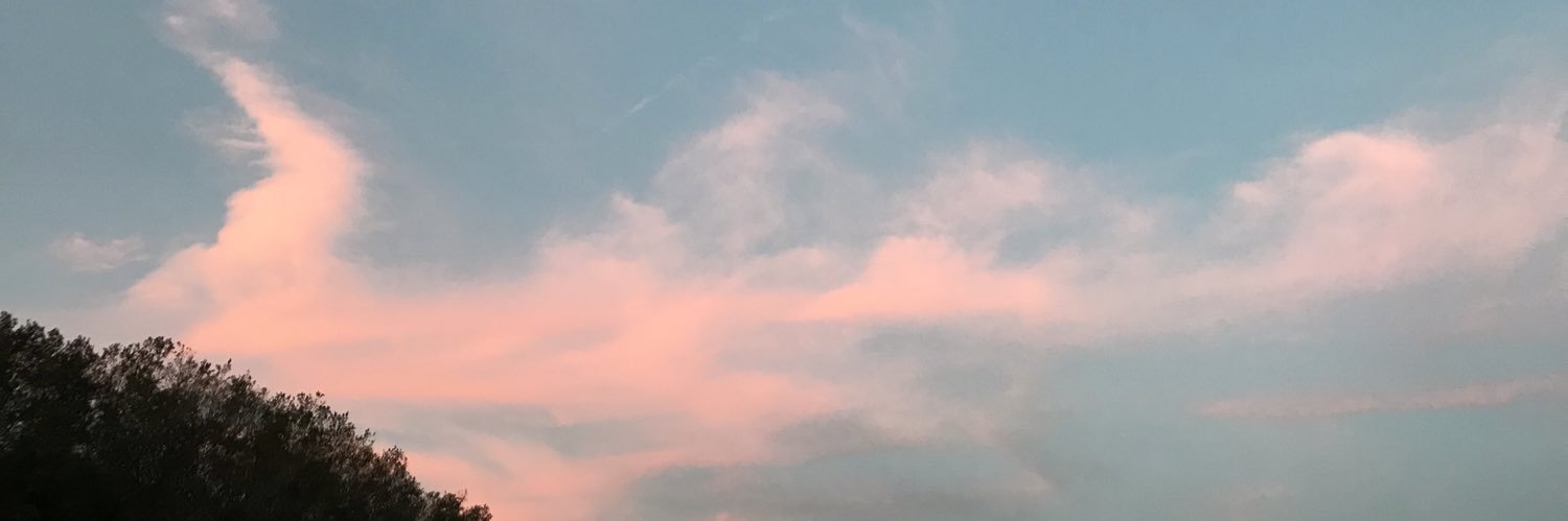 metranks's profile banner image