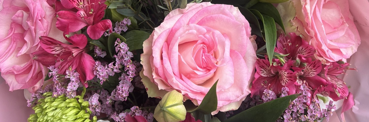 ELLÉ-LOUISE🕊 banner