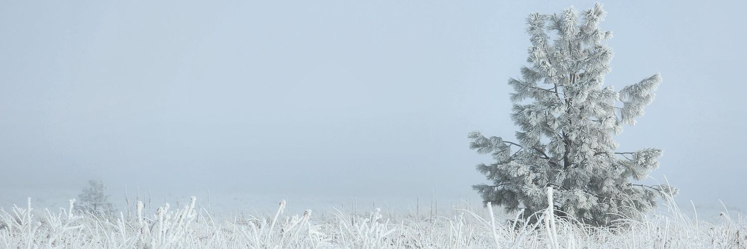 highonm.eth banner