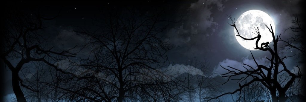 Evil Elsa banner