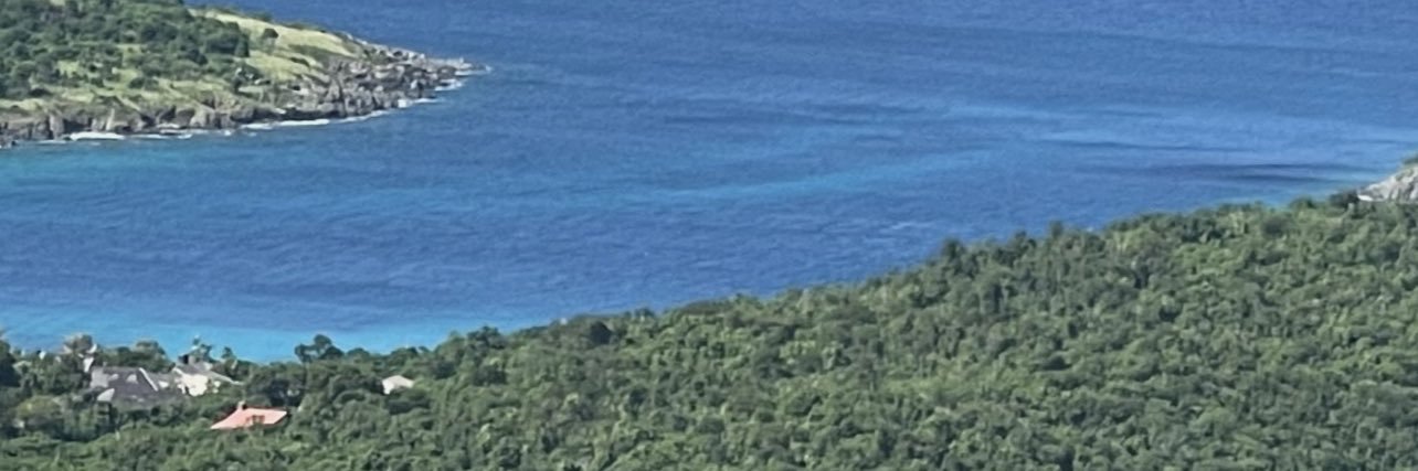 dbnewton55's profile banner image