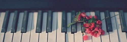 EmmaTheSongbird's profile banner image