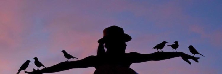 daan551's profile banner image